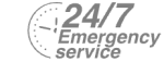 24/7 Emergency Service Pest Control in Finchley Central, N3. Call Now! 020 8166 9746