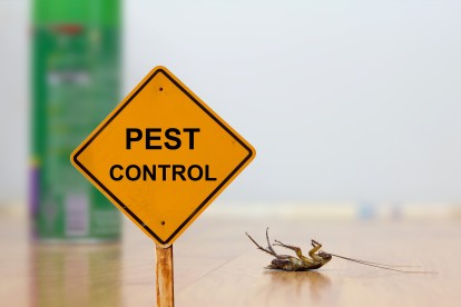Pest Contol in Finchley Central, N3. Call Now 020 8166 9746