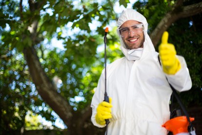 Bug Control, Pest Control in Finchley Central, N3. Call Now 020 8166 9746