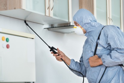 Home Pest Control, Pest Control in Finchley Central, N3. Call Now 020 8166 9746